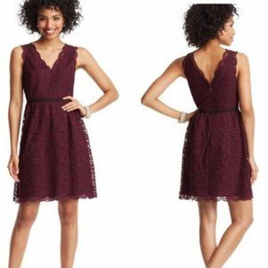 Loft Burgundy Scallop Lace Dress V-neck NWT